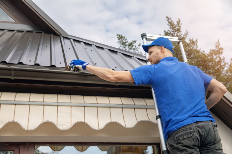 Gutter Screen Replacement detail